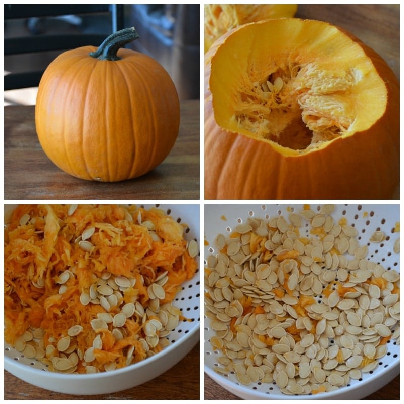 Super Crunchy Pumpkin Spice Seeds. A recipe + Creative uses for your pumpkin seeds